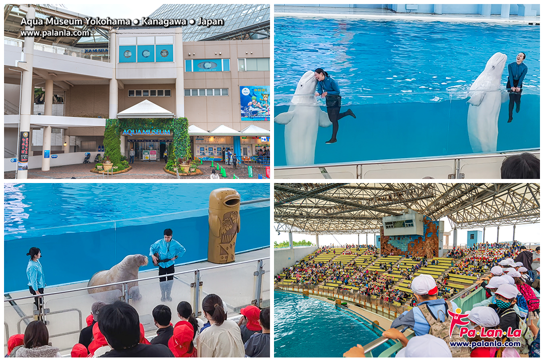 Top 11 Travel Destinations in Kanagawa